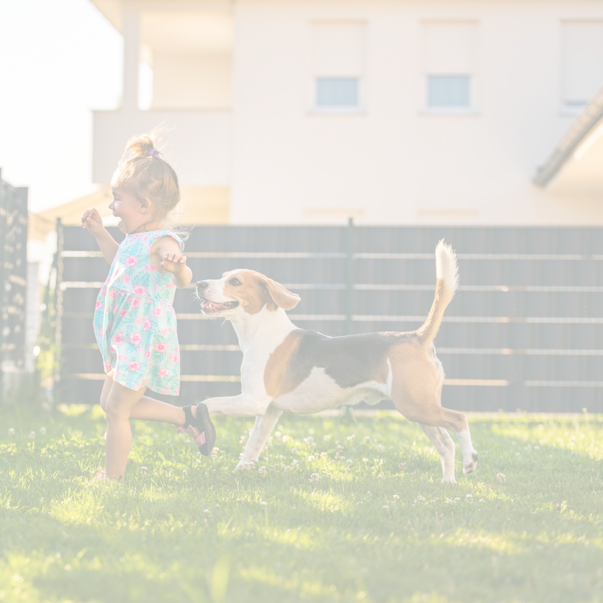 A little girl being chased by a friendly dog in a backyard