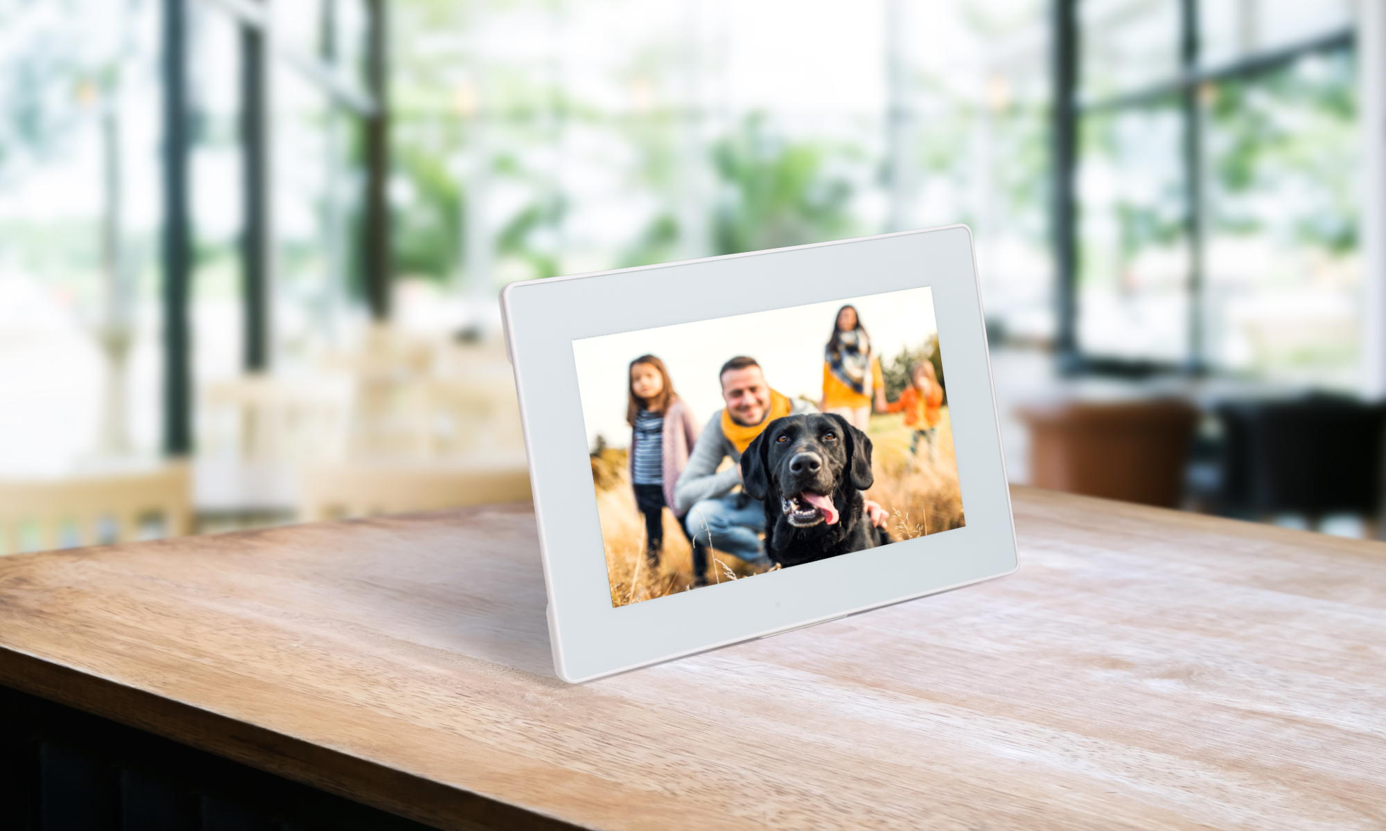 A digital frame without a frame moulding with a picture of a family and a dog